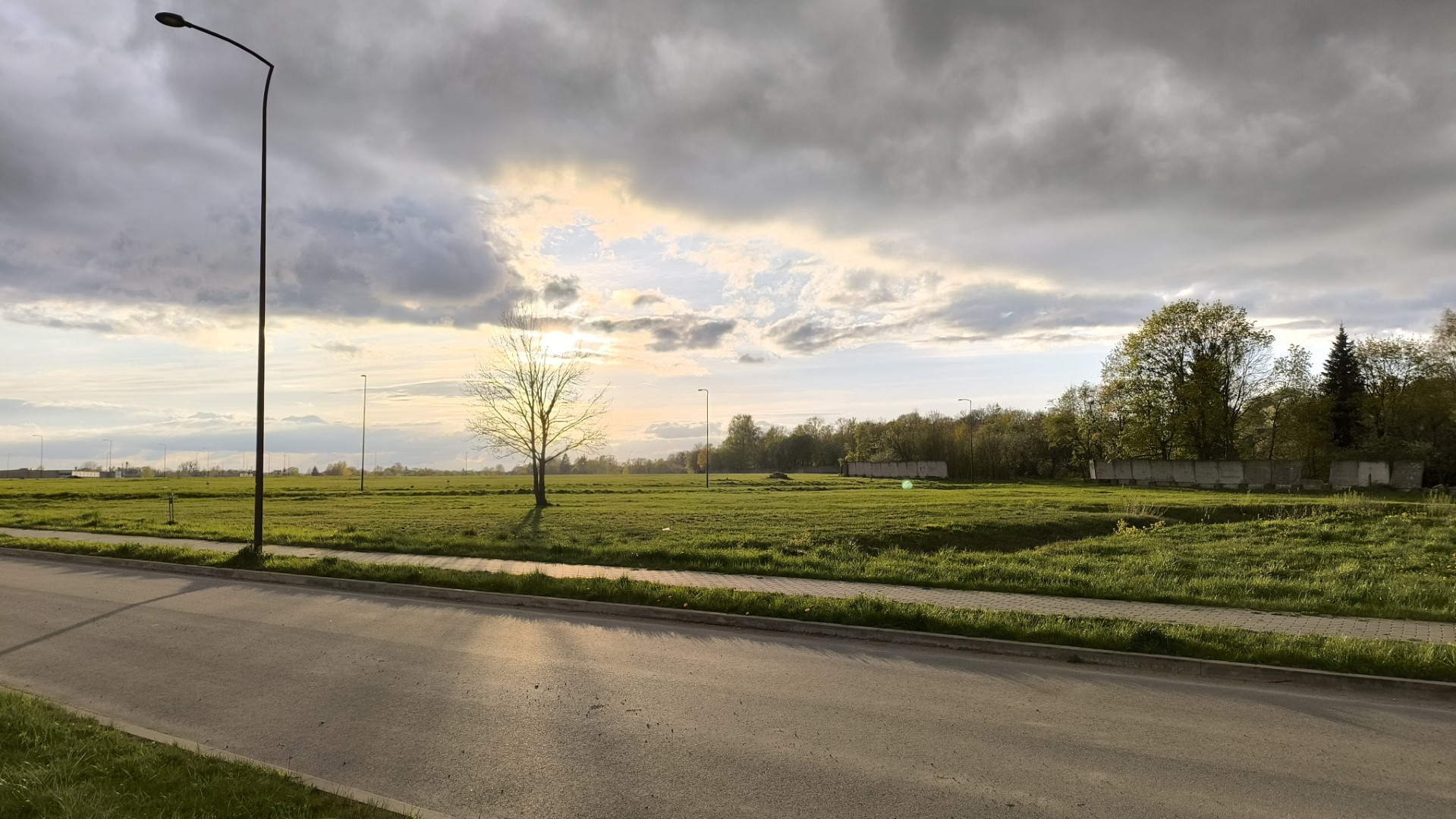 A photo of a sunset landscape. A leafless tree can be seen in an otherwise flat area. Distant groups of trees can be seen along the perimeter.